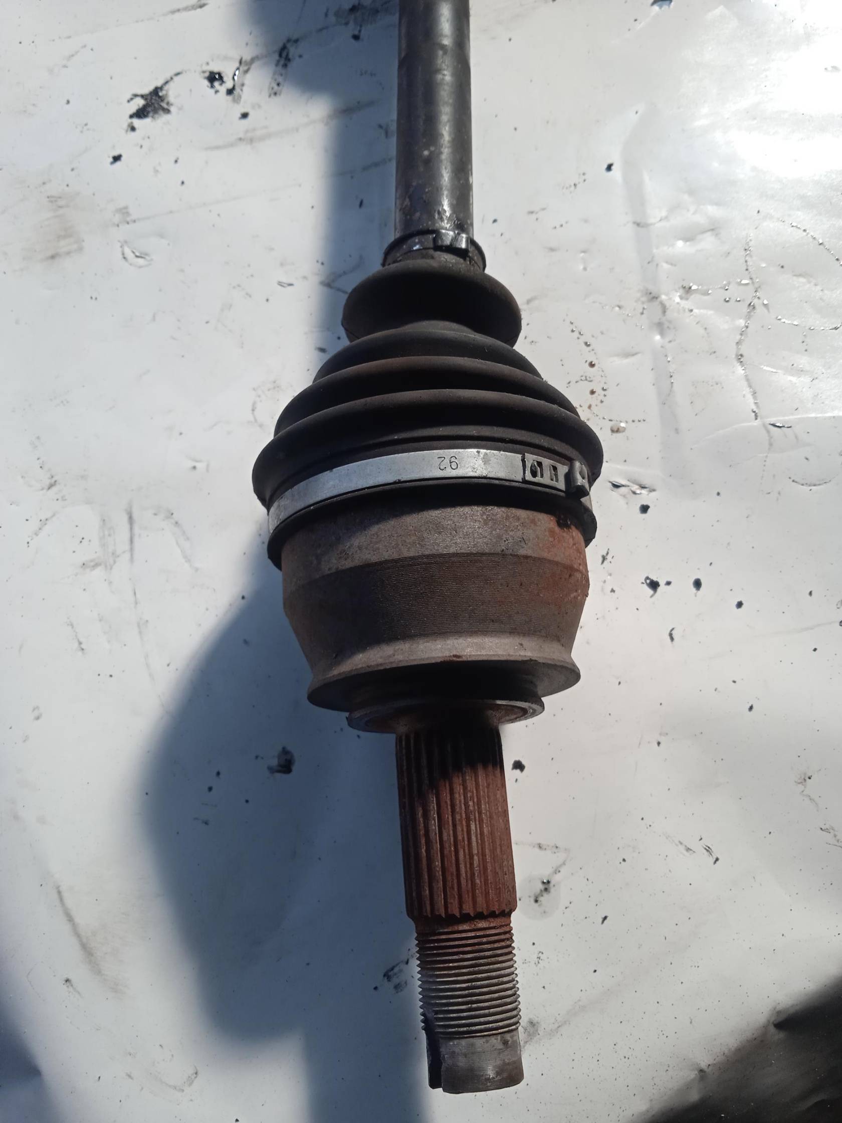 Semialbero ant. compl. dx.